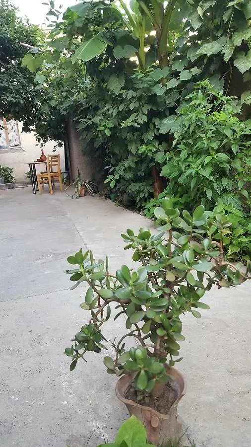 Guest House Family Inn Tbilisi 0*,  Georgien